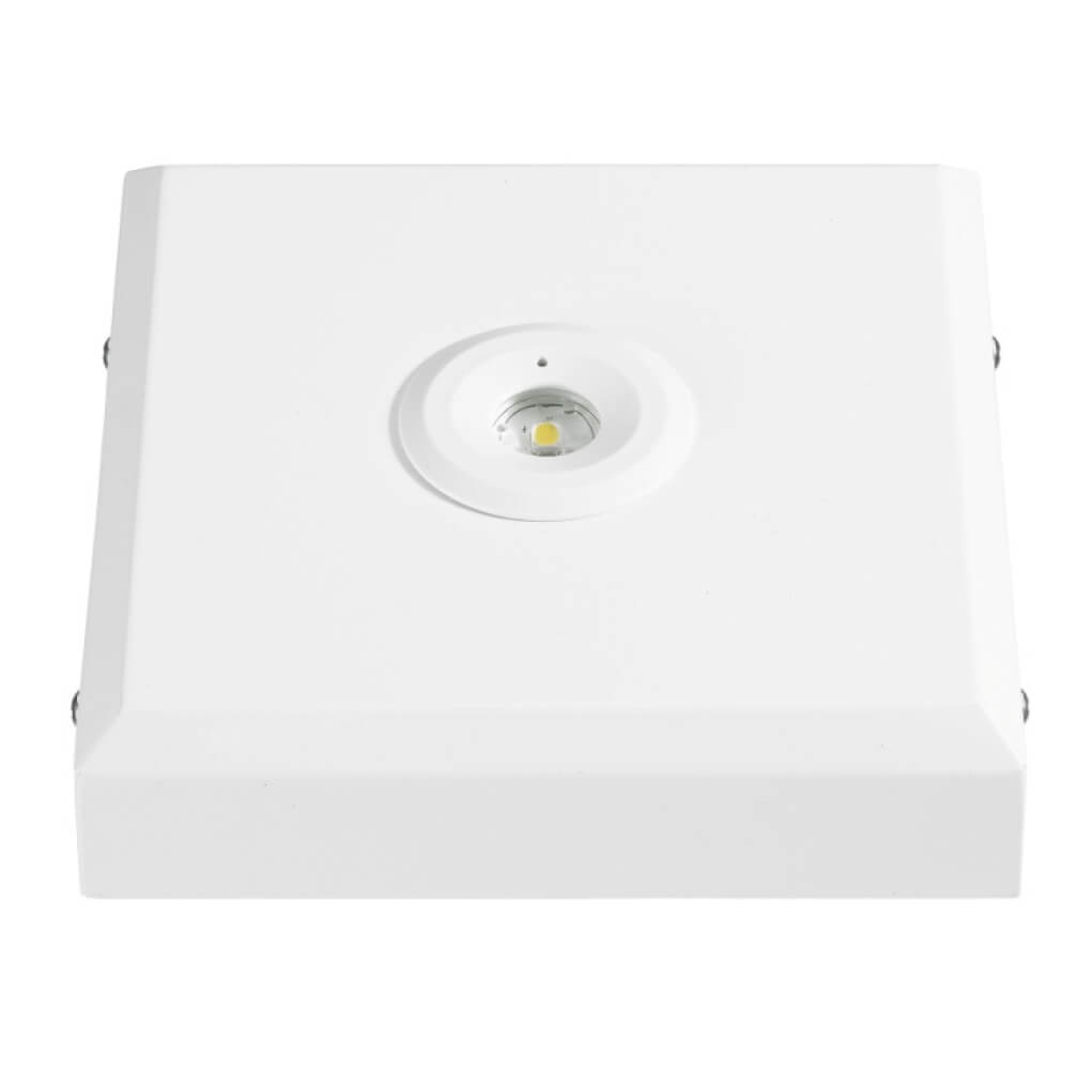 Ancillary EMS Specials Lighting